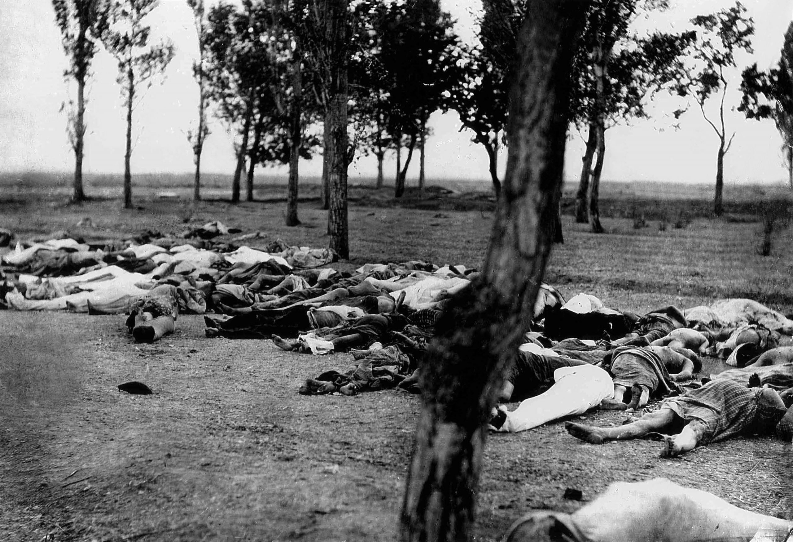 genocidio armenio