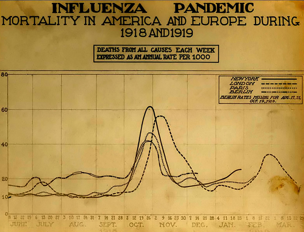 tasa de mortalidad pandémica