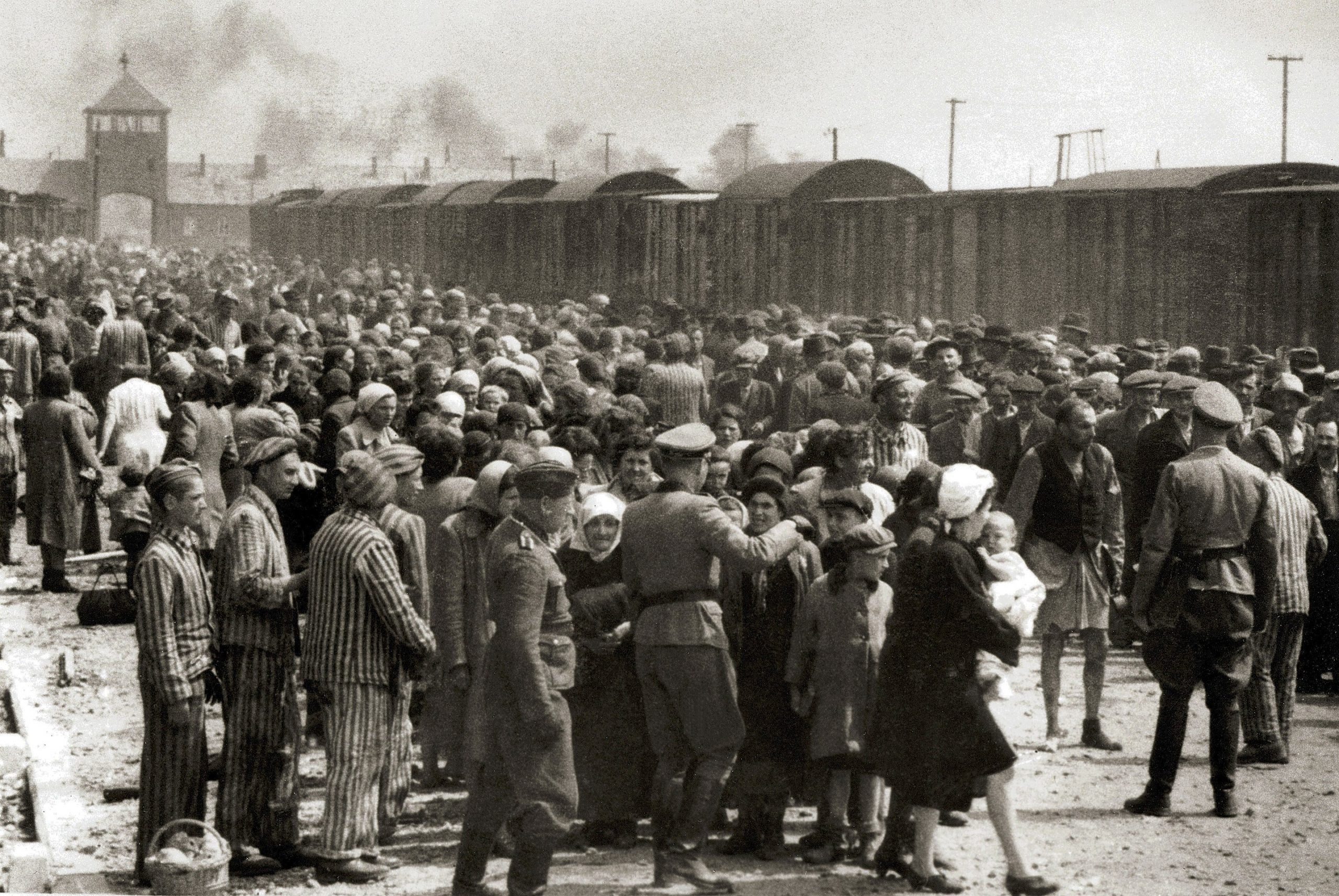 2880px-Selection_on_the_ramp_at_Auschwitz-Birkenau_1944_Auschwitz_Album_1a-scaled.jpg