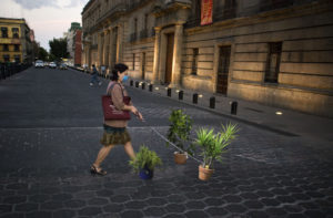Photo of a woman walking her houseplants on leashes