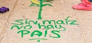 Writing on the sidewalk reads: Sin maíz no hay pais.