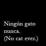 Ningún gato nunca. No cat ever.