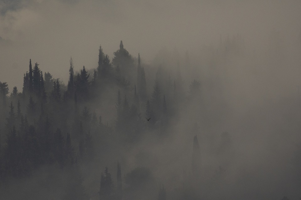 dense fog