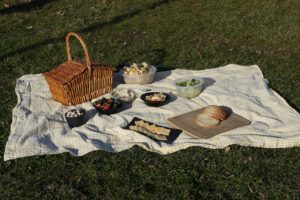 Picnic on the grass