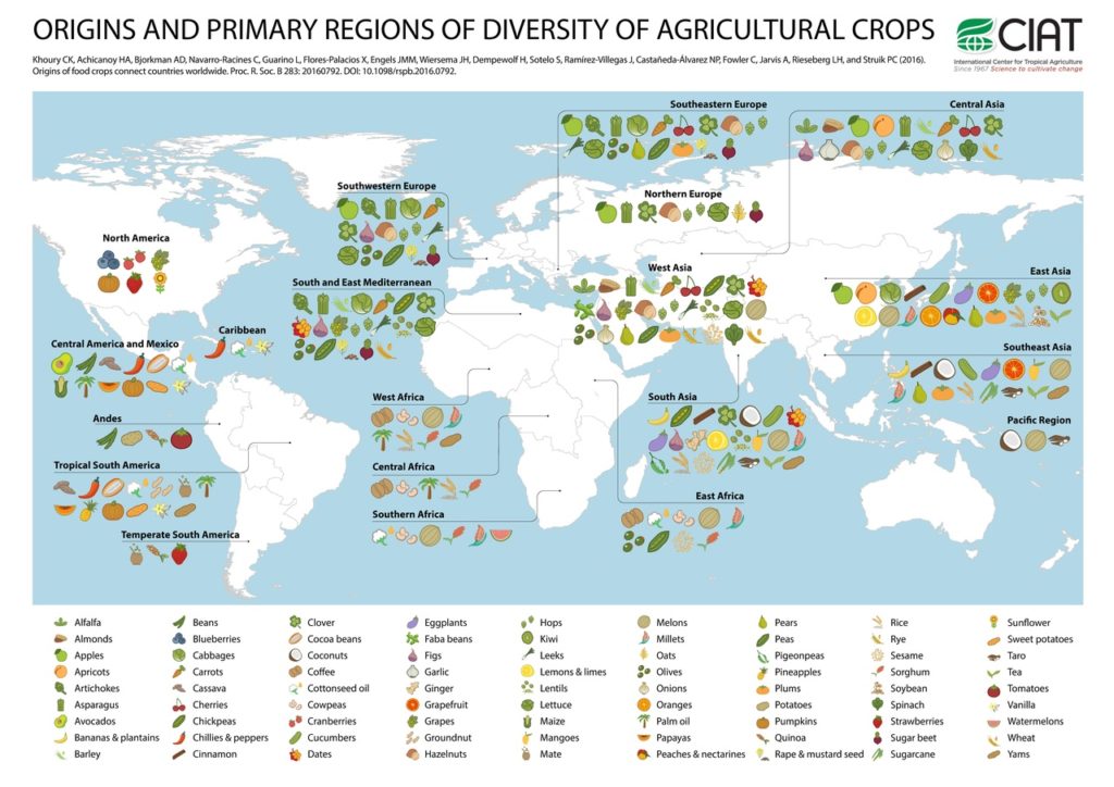 map of origins and primary regions of diversity of agricultural cops