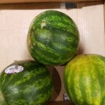 Watermelon-150x150.jpg