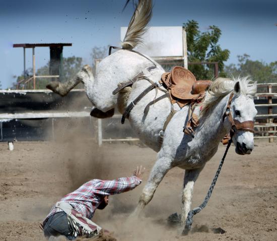 Cowboy fallen off horse in a rodeo