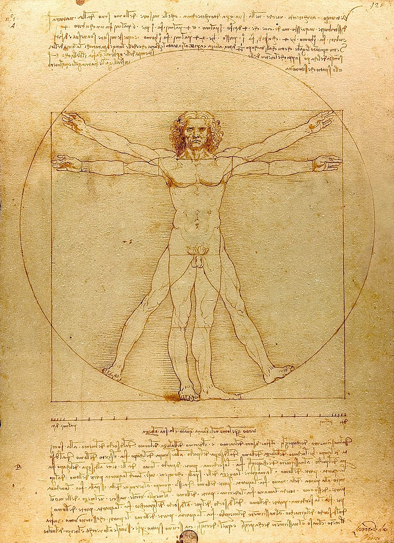 Vitruvian Man by Da vinci a drawing about proportion of a man