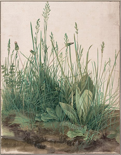 Watercolor painting of weeds planted in dirt