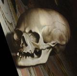 Close up of skull from the Ambassadors