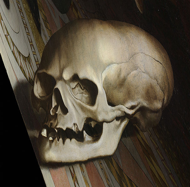 Close up of skull from the Ambassadors