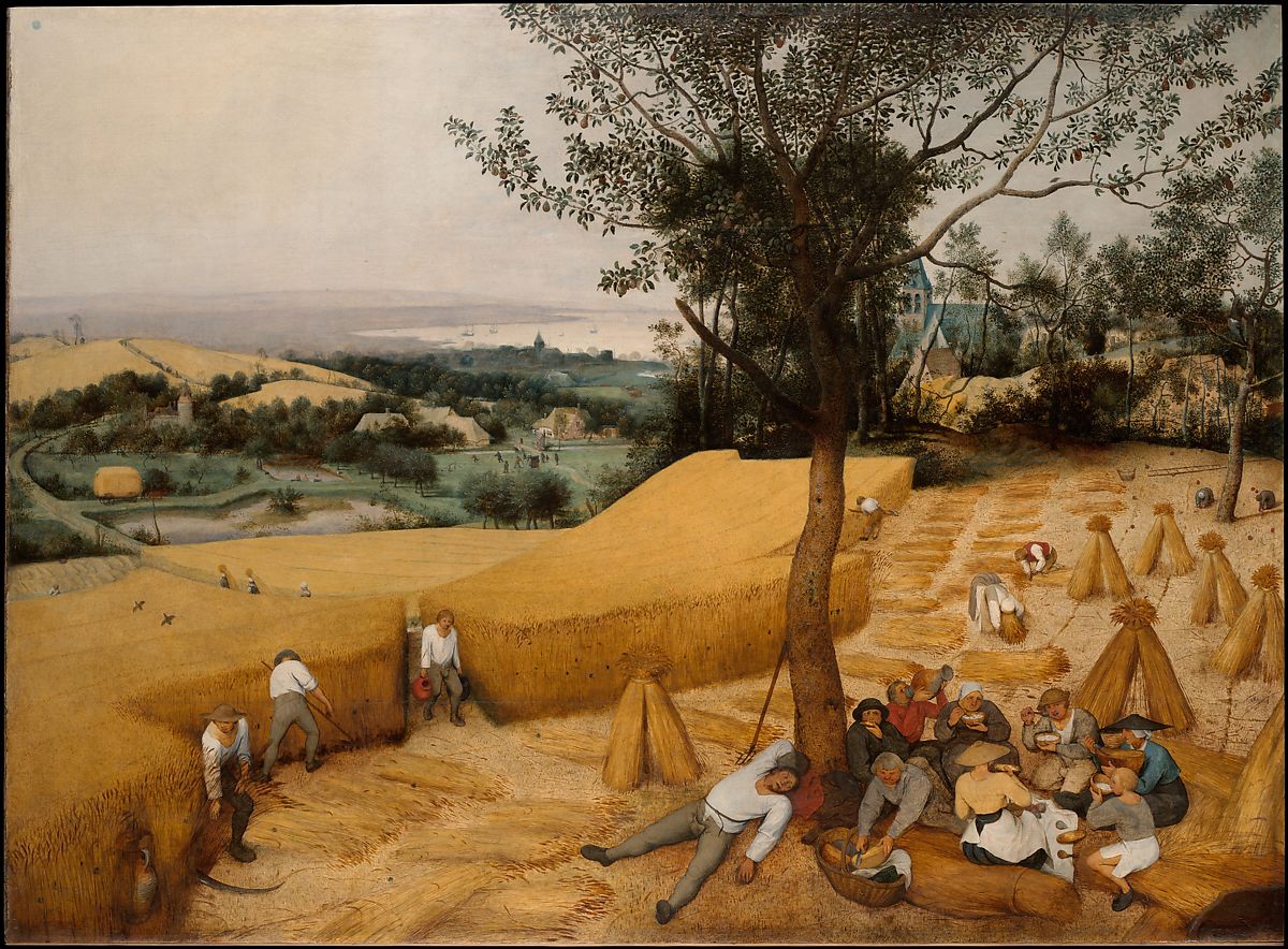 Men harvesting wheat in the fields under a large tree