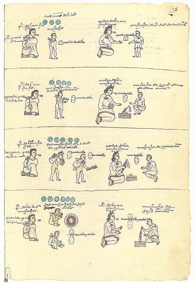 Codex Mendoza shows how children are taught to help through illustrations