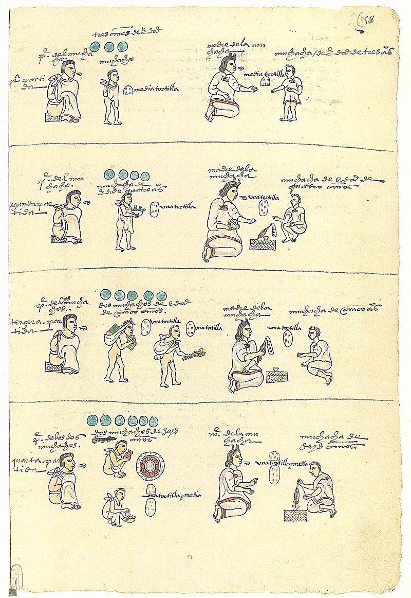 Codex Mendoza shows how children are taught to help through illustrations