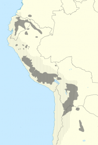 Mapa de la distribución actual de las lenguas quechuas (sólido) con la extensión histórica del Imperio Inca (sombreado)