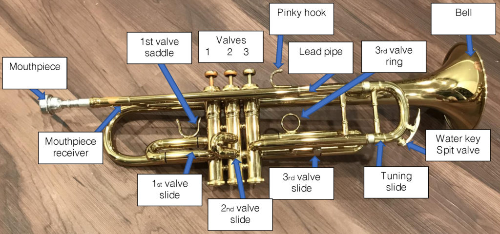 Diagram of the parts of a trumpet