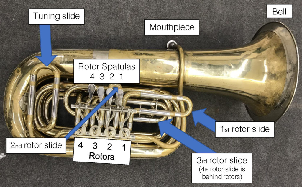 Anatomía de la tuba rotor