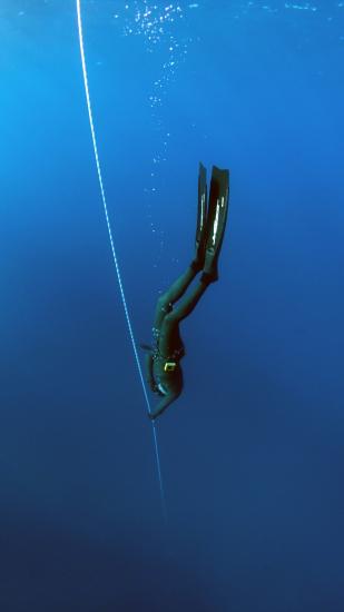 A diver heads down underwater, following a guide rope that descends beyond them.