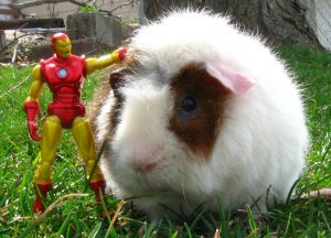 Iron Man Toy standing next to Hamster in the grass
