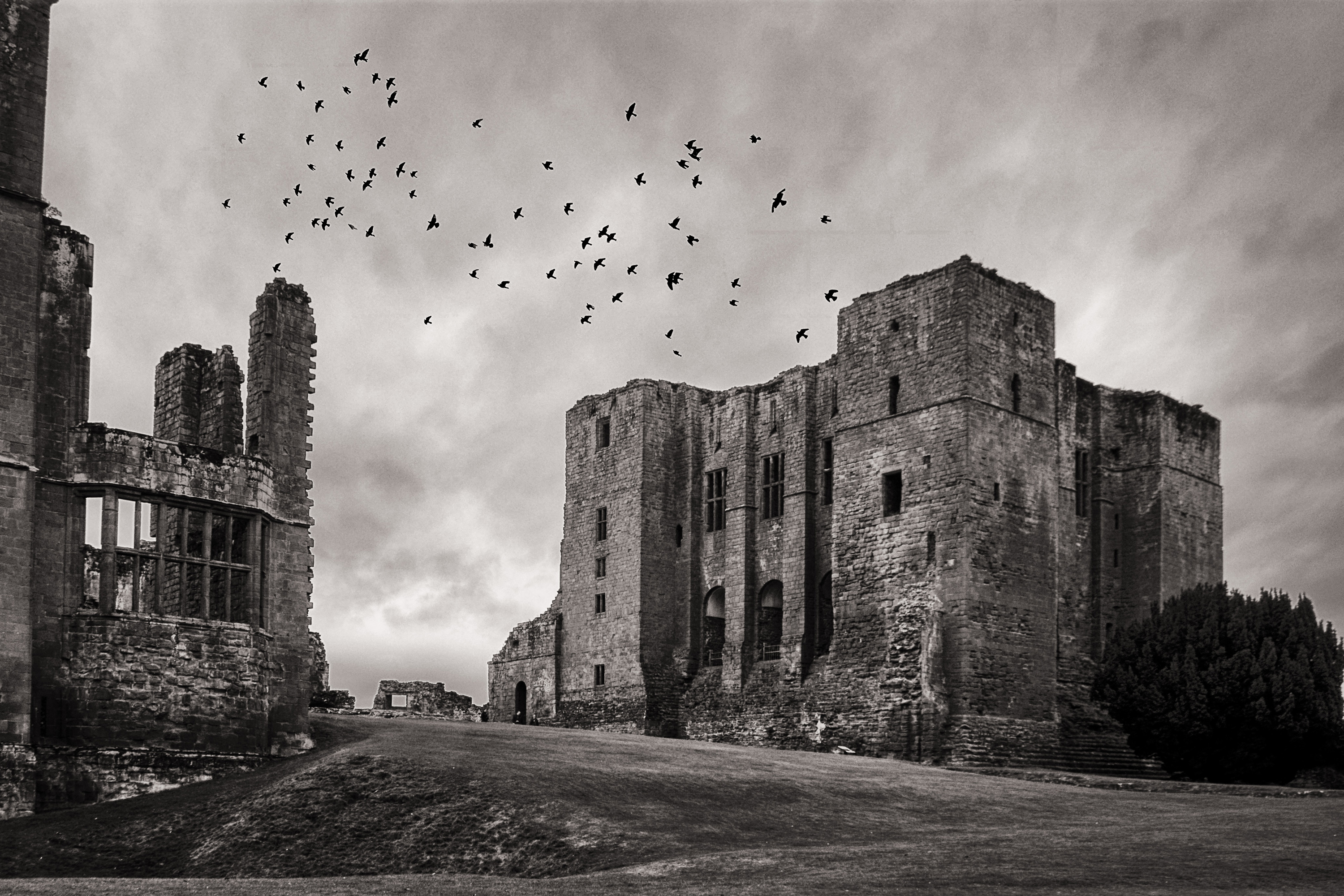 Una foto en blanco y negro del antiguo castillo de Kenilworth contra un cielo tormentoso lleno de pájaros en vuelo evoca la sombría estética de la ficción gótica temprana.