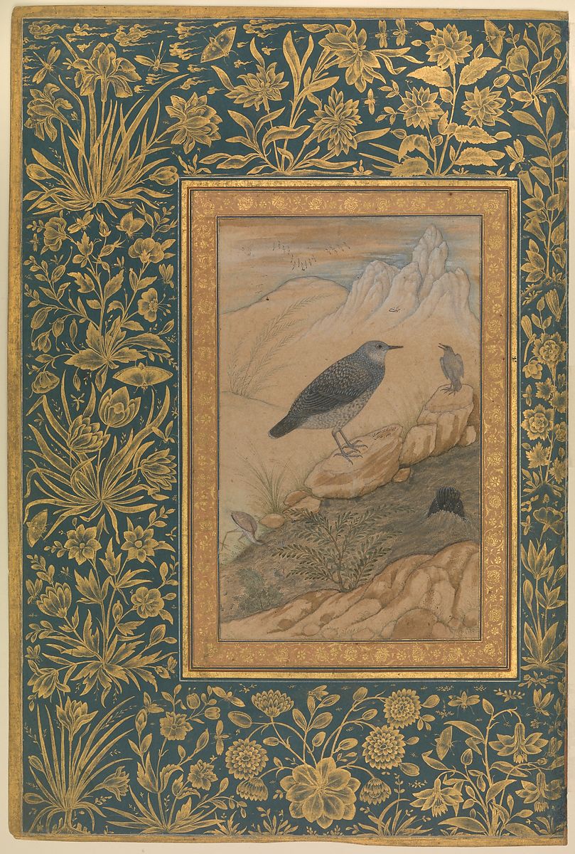 Two birds on rocks surrounded by flowers