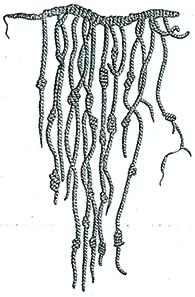 يظهر إنكا كيبو، وهو خيط به عدد من الأوتار الرقيقة والمعقودة المتدلية منه.