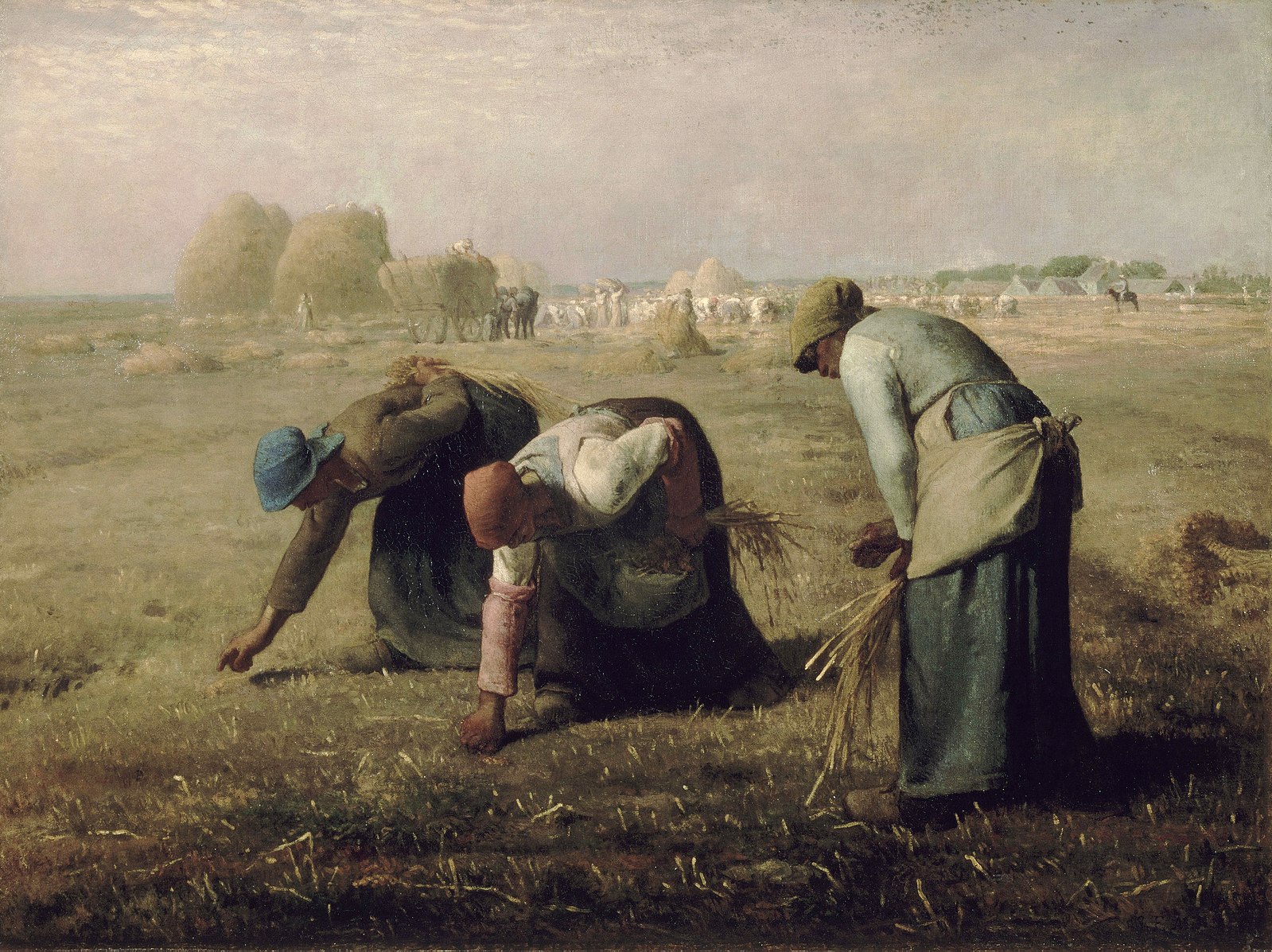 Three women picking up wheat kernels in a large field 