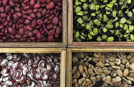 4 corners of wooden boxes of brightly colored heirloom beans