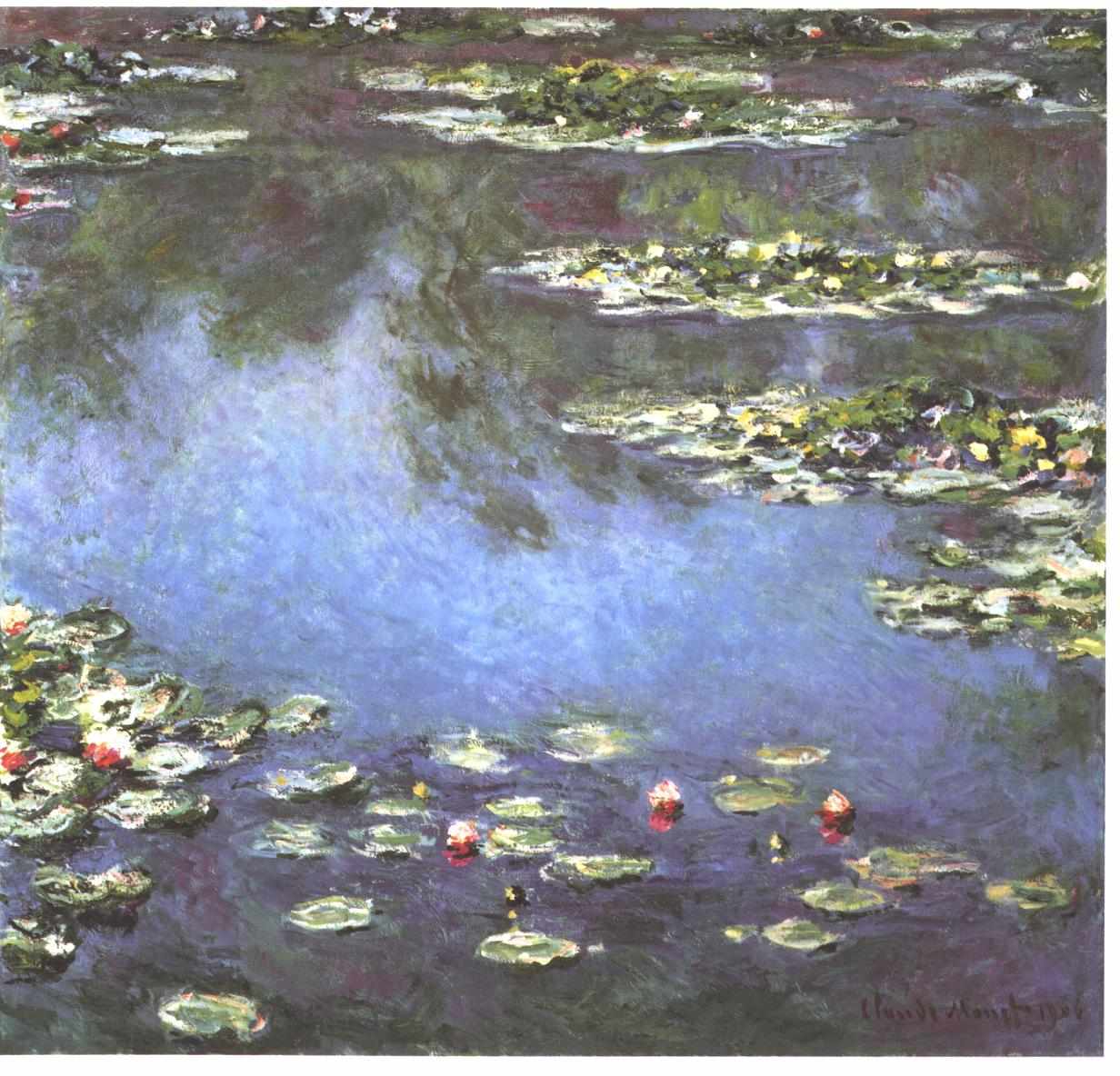 A lily pond with flowers and wide petals and the sky reflection on the water