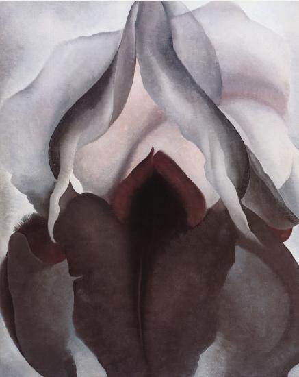 Close up of flower with white and dark purple leaves