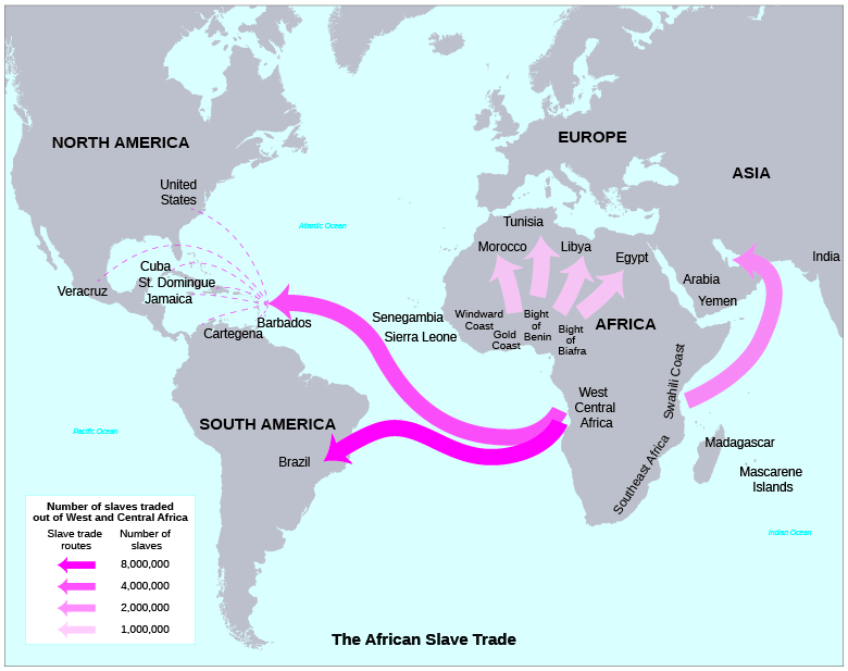 Un mapa muestra las rutas que se utilizaron en el curso de la trata de esclavos y el número de personas esclavizadas que recorrieron cada ruta.