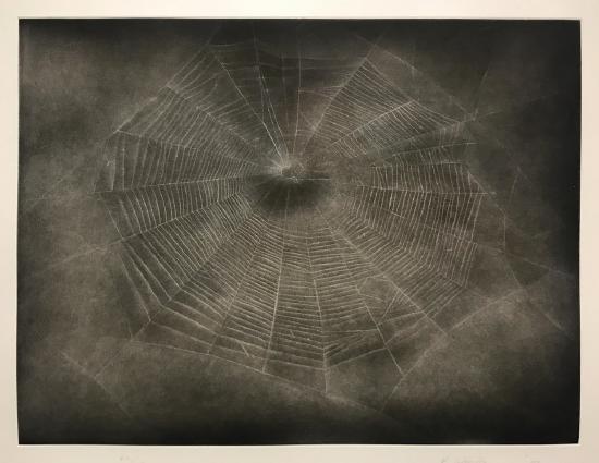 Black and white spider web