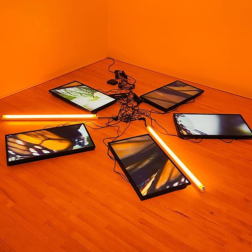 Five flat screens with 2 tube lights