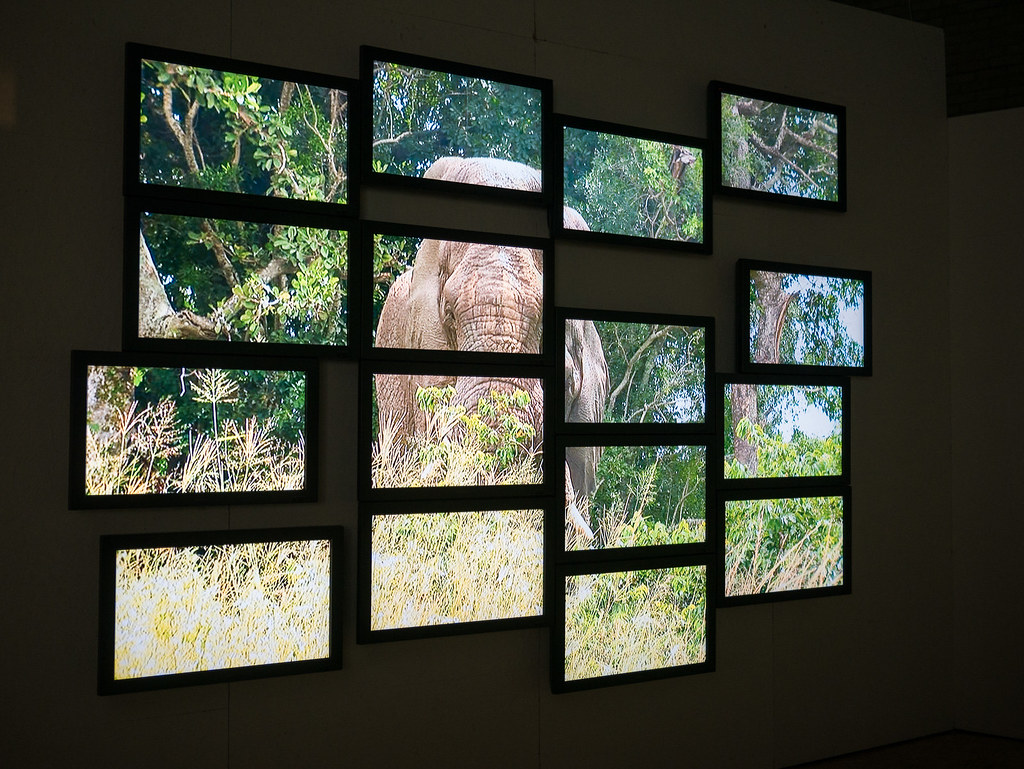 Кілька екранів телевізорів разом зображують слона в дикій природі