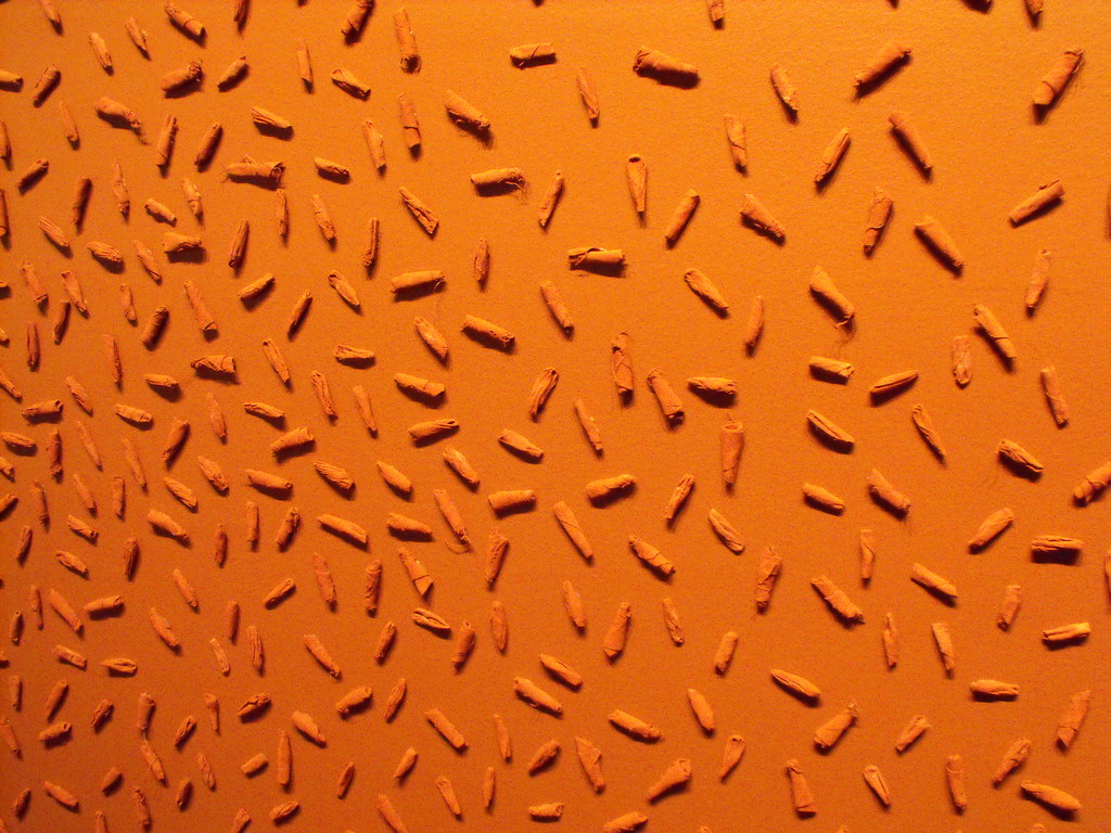 small rolled pieces of cloth glued to a wall and then painted a solid orange