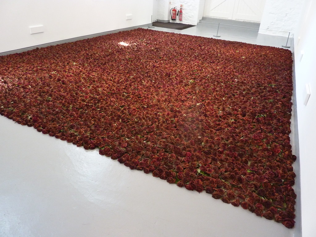 red roses in a square on the white floor