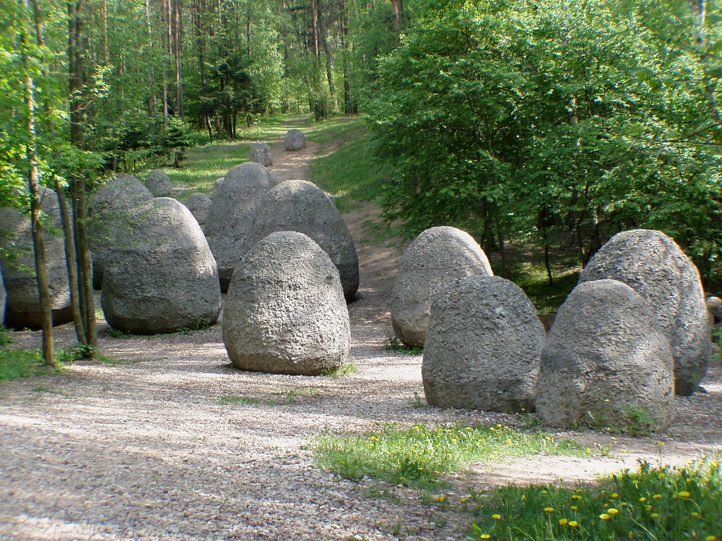 large egg shaped granite rocks in a forest setting
