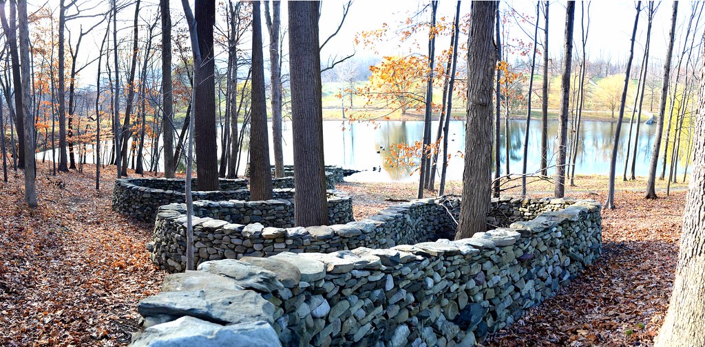 a stacked stone fence weaving in and out of trees to a lake