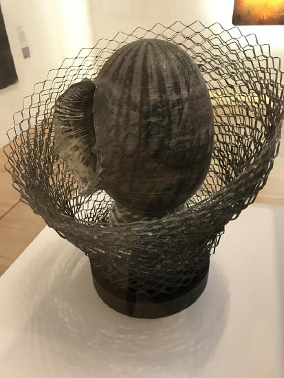 wire wrapped around a shell like structure