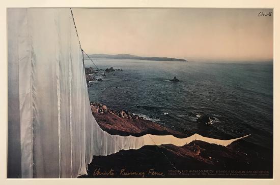 a fence of white material along a bluff running to the ocean