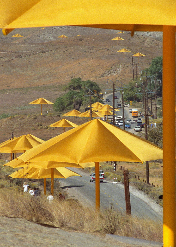 Yellow umbrellas planted alongside a road