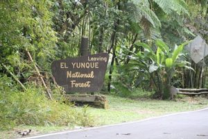 foto mostrando un letrero que dice en inglés "Leaving El Yunque National Forest"