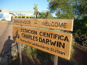 Alvaro_sevilla_design_La_Estacion_Cientifica_Charles_Darwin_Galapagos_foto_publicidad-300x225.jpg