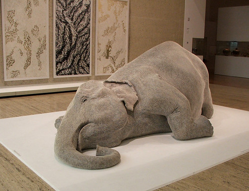 un elefante tendido en el suelo