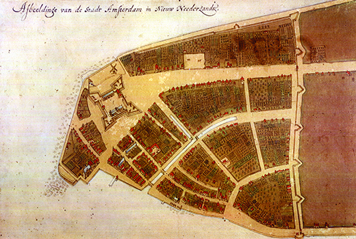 Castello Plan 将新阿姆斯特丹描绘成一个由道路或小路分隔的建筑物和田野组成的小型定居点。 在半岛顶端附近可以看到一座堡垒。 在殖民地的右侧，一条带有尖刺的线条表示保护东北殖民地的墙；它的另外三面由水保护。