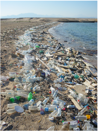 A beach littered with trash.