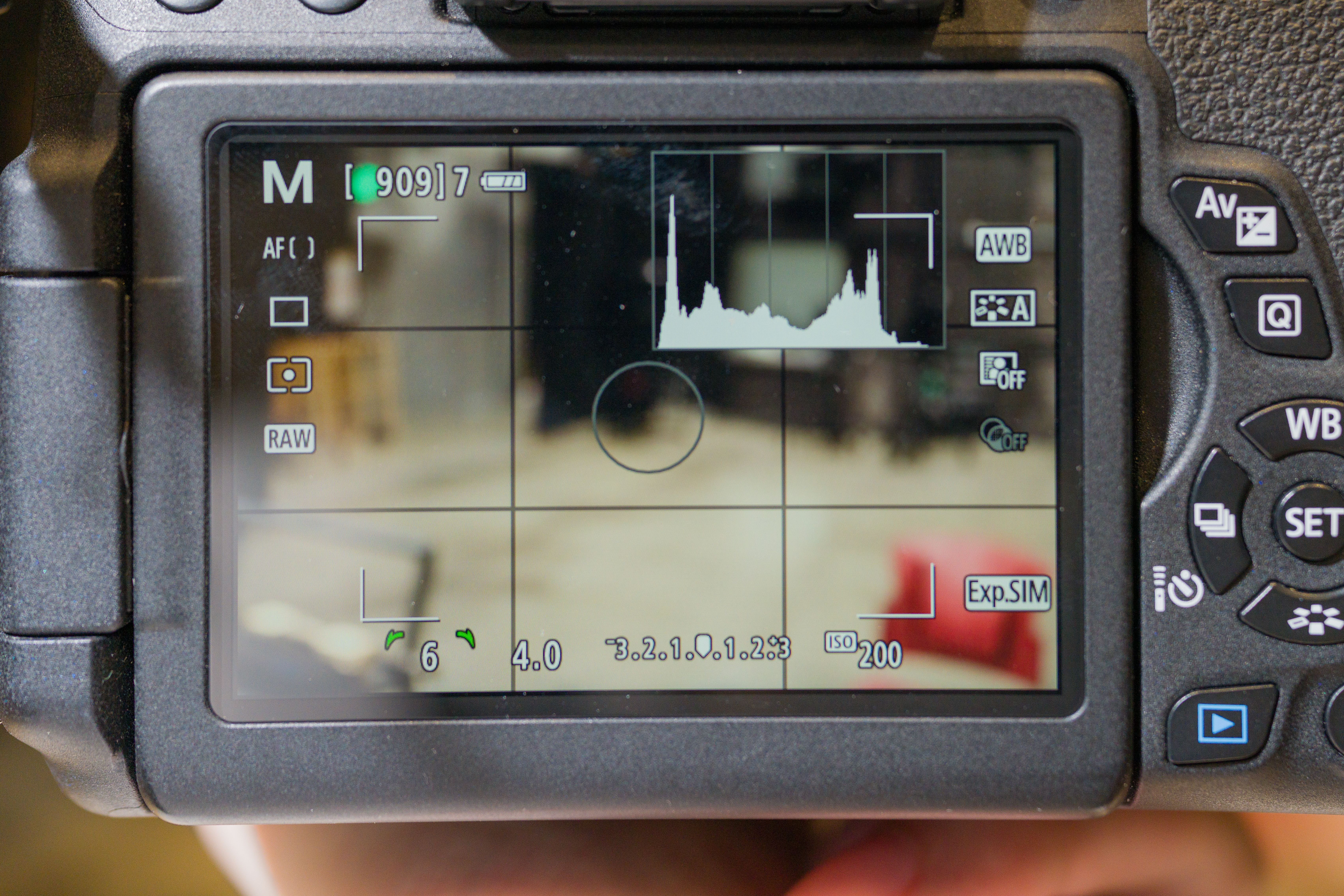 A DSLR screen with a histogram overlaid on the top right of the image.