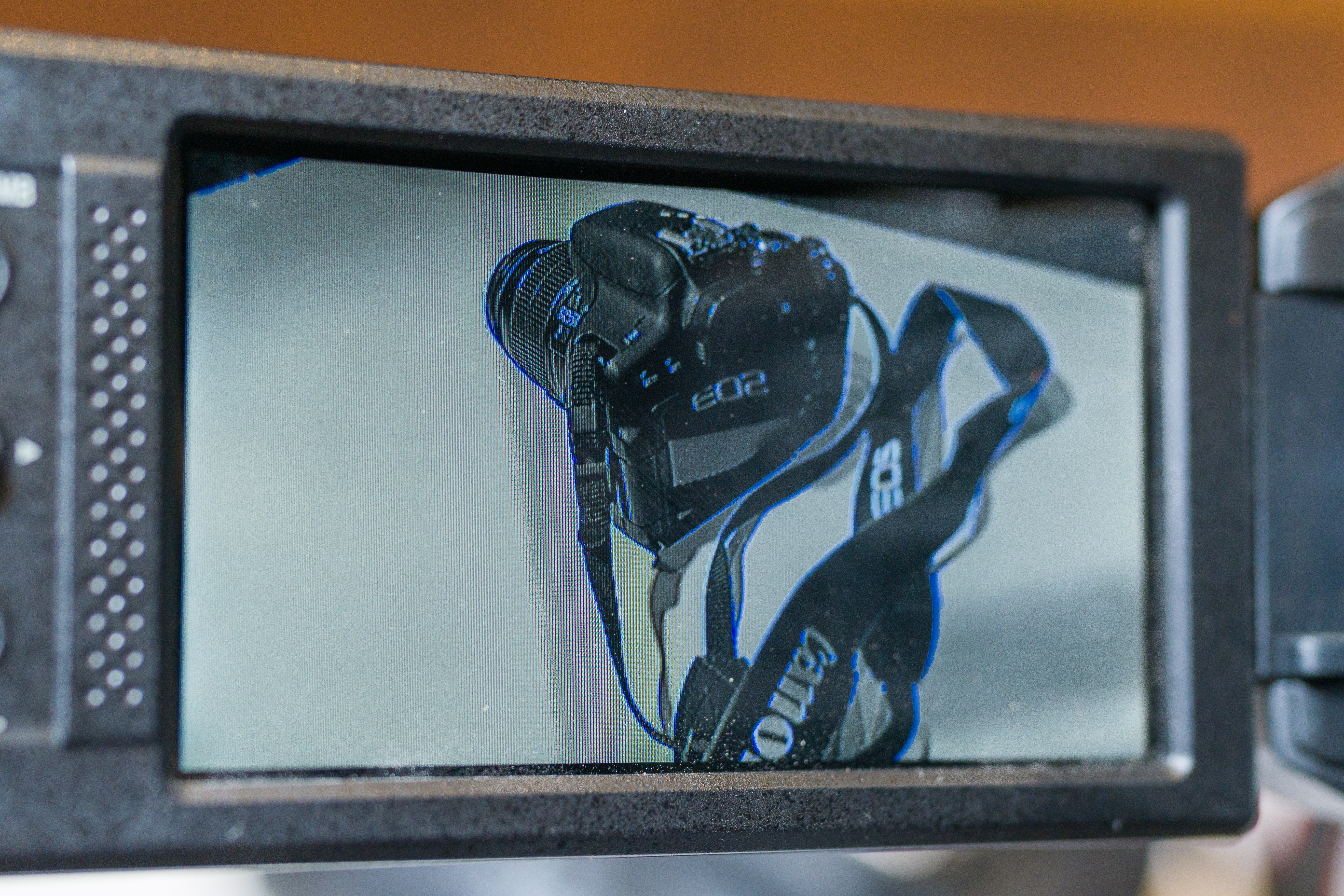 Camera screen with focus assist on. The image is black and white with blue lines around objects in focus.