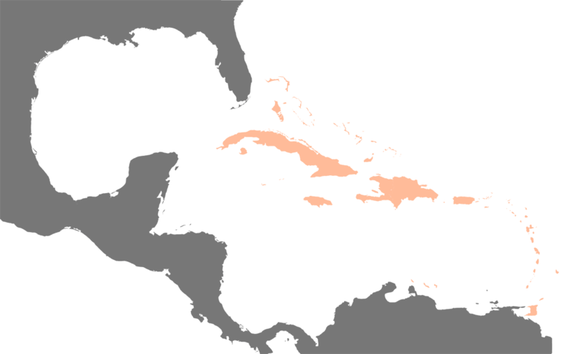 File:Karte Karibik Inseln.png