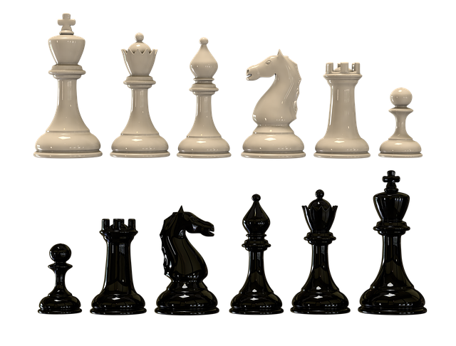 Una fila de piezas de ajedrez blancas por encima de una fila de piezas de ajedrez negras.